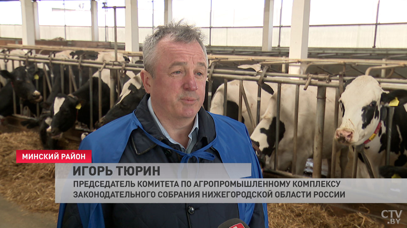 Представитель Нижегородской области на белорусском хозяйстве: «Очень высокий уровень животноводства»-4