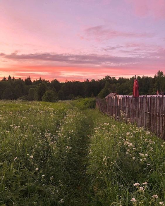 Прекрасное таится в мелочах. 9 фото, которые раскрывают летнюю эстетику-5