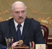 «Мы относимся к лесу отвратительно». Президент Беларуси раскритиковал работу лесной отрасли страны 