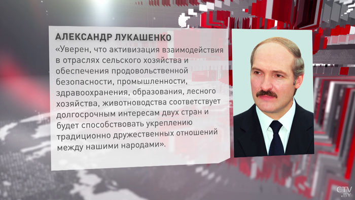 Александр Лукашенко поздравил президента Камеруна с национальным праздником-1