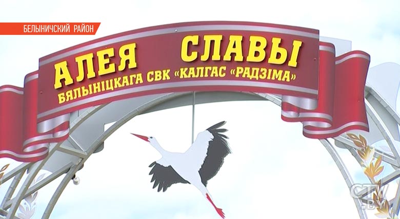 «На этом будем учить других»: итоги рабочей поездки Президента Беларуси в Белыничский район-58