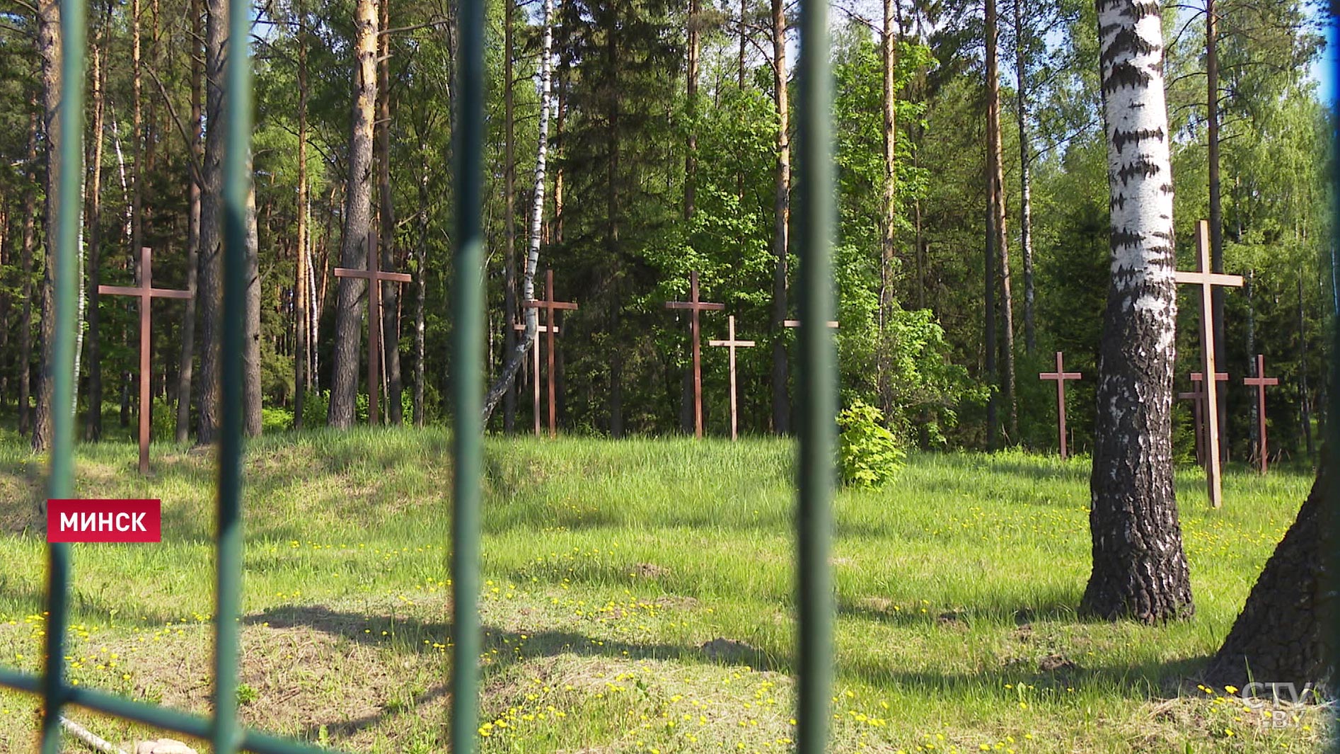 Президент Беларуси ознакомился с благоустройством территорий, прилегающих к МКАД. Репортаж СТВ-31