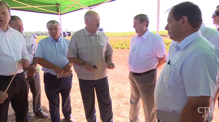 «Это действительно комбайн будущего»: Александр Лукашенко после тест-драйва «Палессе GS2124»-28