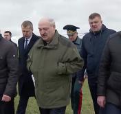 Александр Лукашенко: вот Ельск пролетаешь – обработаны почвы как в Гродненской области. Но так не везде. Значит, могут, но не делают
