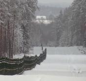 В Беларуси либерализовали вопросы нахождения и транзита в приграничной зоне и полосе