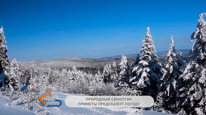 Приметы на декабрь. Во что верили наши предки?-1