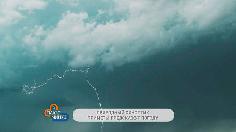 Коли гроза – сена будет за глаза. Народные приметы в самый разгар полевых работ-1