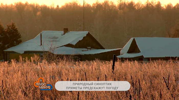 Если Месяц чёткий – зима будет студеной. Собрали декабрьские народные приметы-4