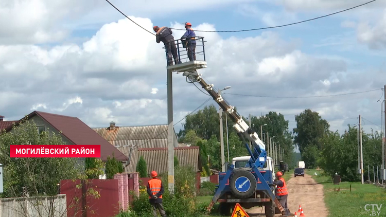 На девочку упало дерево! Последствия непогоды в Могилёвской и Витебской областях-37