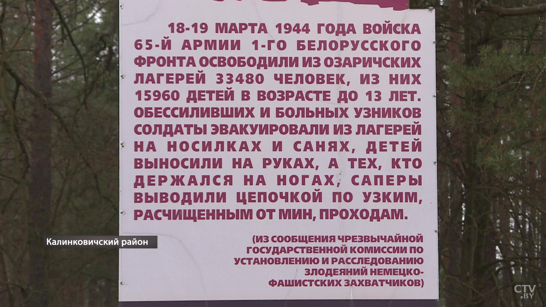 Как могла прийти кому-то в голову мысль сделать из детей доноров для солдат? Рассказы о трёх страшных преступлениях нацистов в Беларуси-25