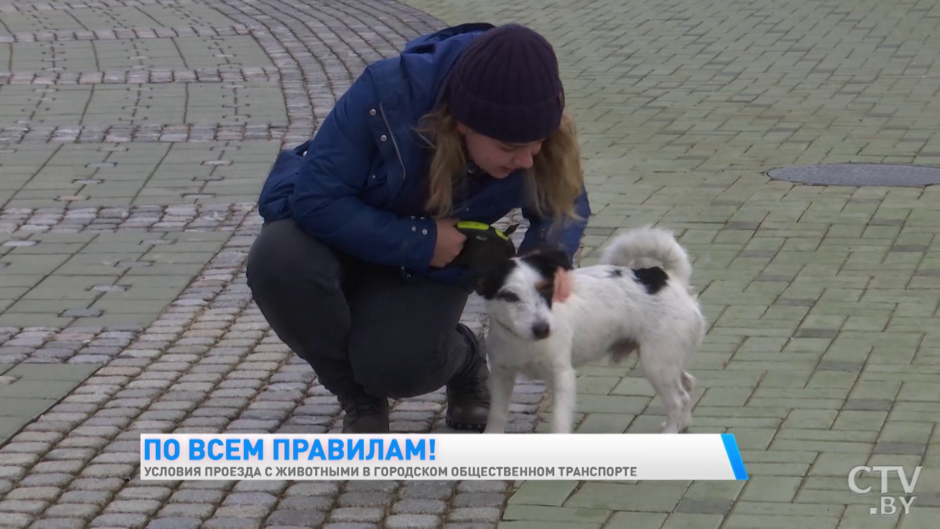 Как правильно перевозить домашнего питомца в общественном транспорте?-10