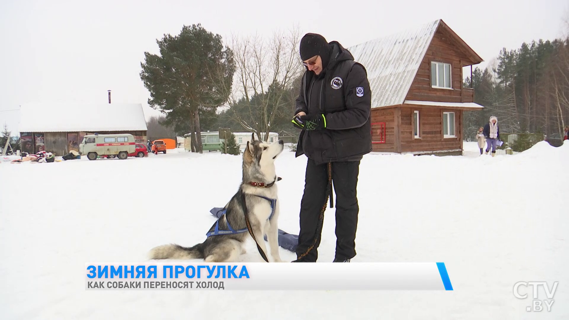 Как правильно выгуливать собаку зимой, чтобы не допустить переохлаждения? -16