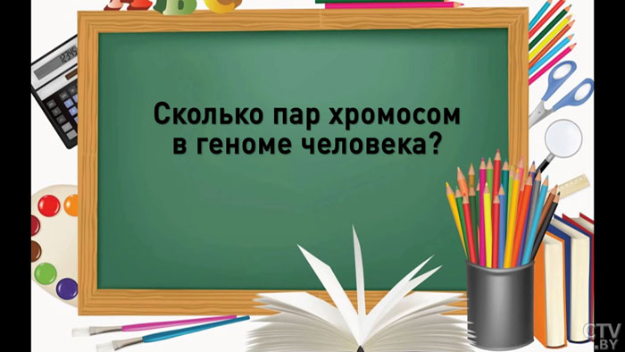 Зато двойку уже не получат. Прохожие отвечают на школьные вопросы-49