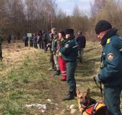 Уже исследовано 640 гектаров. В Каменецком районе вторые сутки ищут пропавшего мальчика