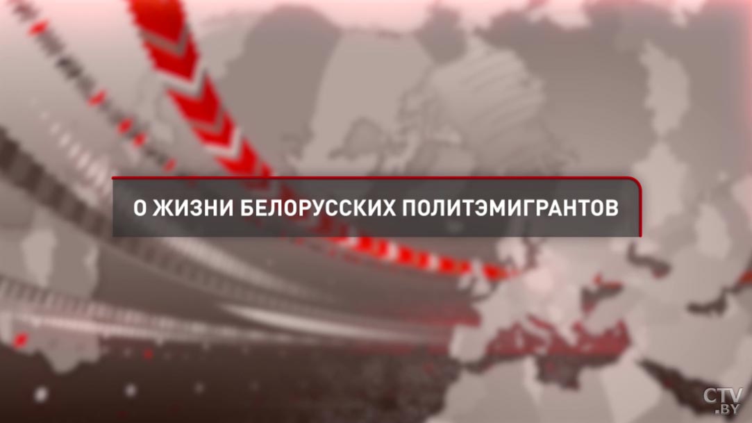 «Я чувствую свою ответственность». О чём говорил Роман Протасевич на брифинге МИД? Главное-31