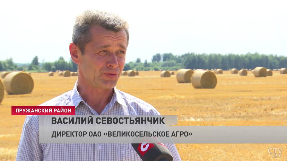 «Пока приходишь, внук не дожидается». Пружанский район первым в Брестской области намолотил 100 тыс. тонн зерна. Вот что говорят аграрии-13