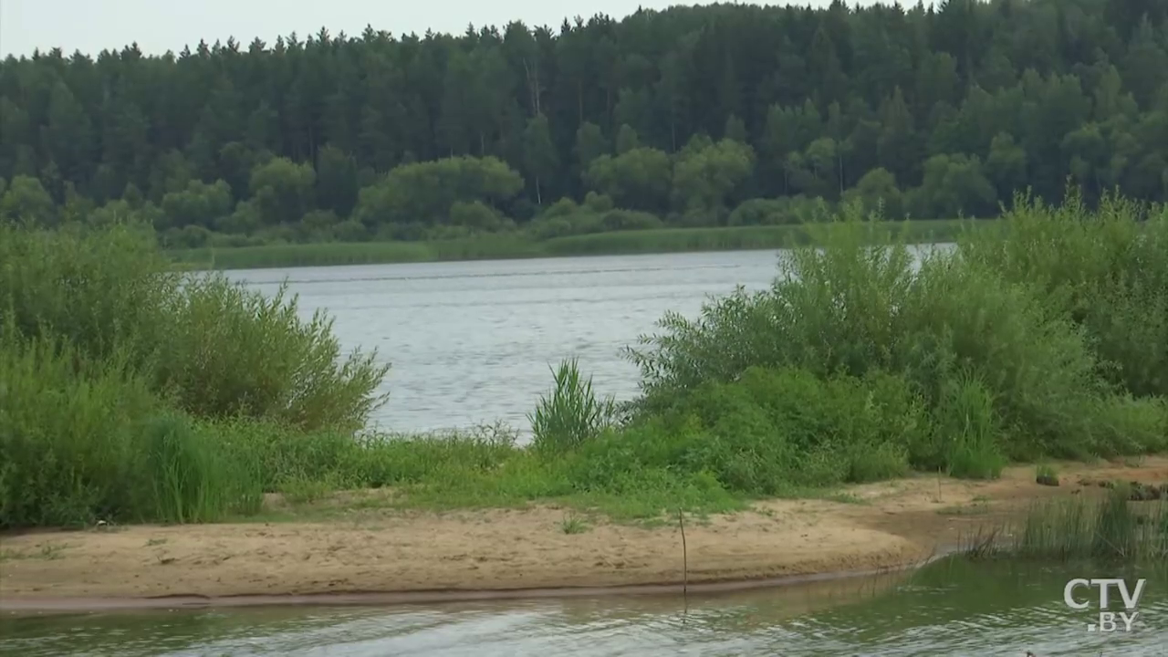 «На его дне можно увидеть мерцание кареты». На Вилейском водохранилище есть остров, где Наполеон мог спрятать клад -16