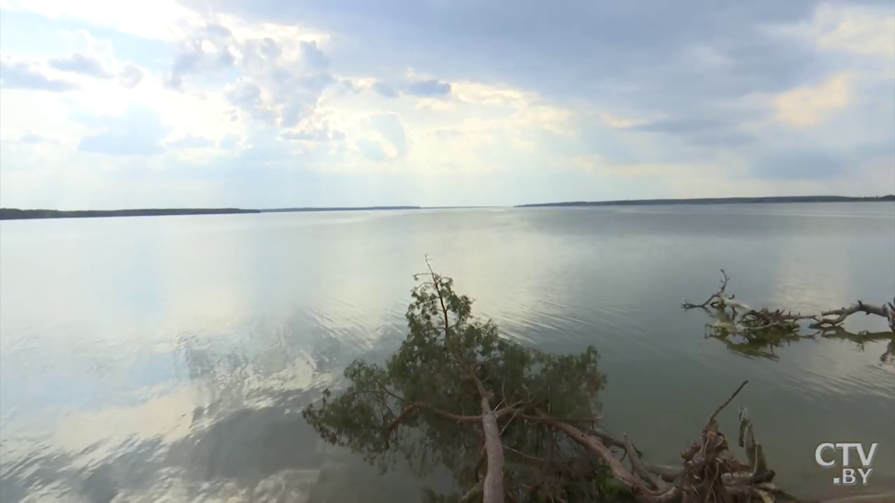 «На его дне можно увидеть мерцание кареты». На Вилейском водохранилище есть остров, где Наполеон мог спрятать клад -13