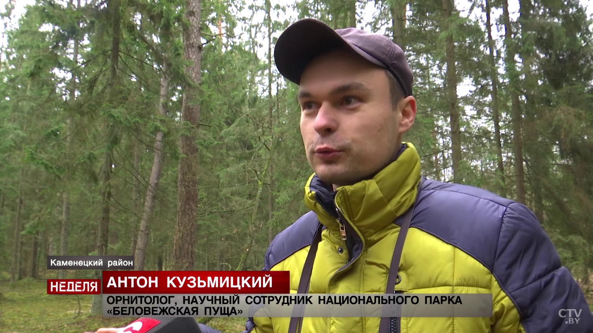 «Формируются целые популяции, которые не улетают на зиму». Как аномально тёплая погода в Беларуси повлияла на птиц-6