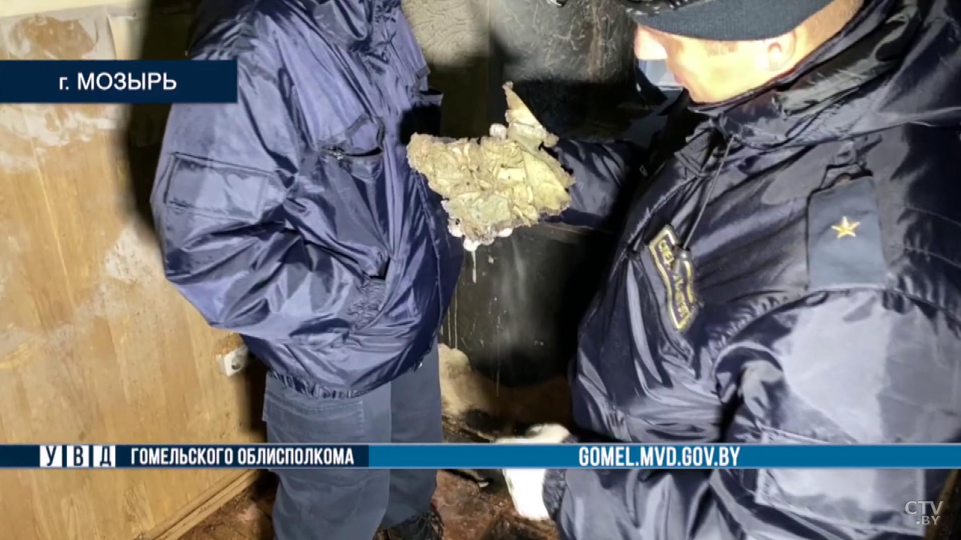 Из-за разгула демократии страшно выйти на улицы. Мнение Евгения Пустового о том, что происходит в Беларуси и мире-7