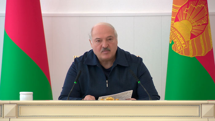 Лукашенко: облетал Гомельщину – неубранная солома, поросшая травой органика. Бесхозных зданий туча