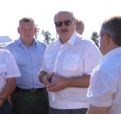 Александр Лукашенко: «Рапс – это деньги. Крестьяне уже поняли, что это деньги»