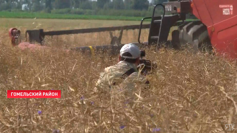 Его добавляют даже в мыло! На какой белорусский продукт положили глаз в Китае?-7