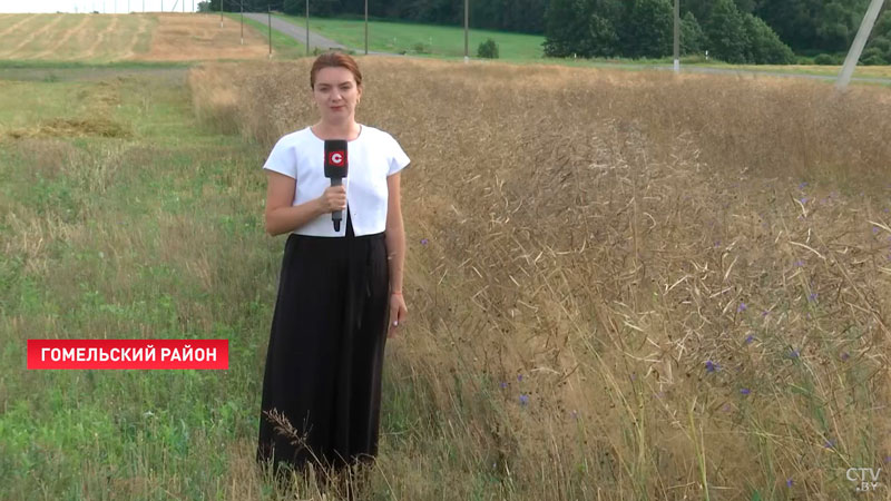 Его добавляют даже в мыло! На какой белорусский продукт положили глаз в Китае?-16