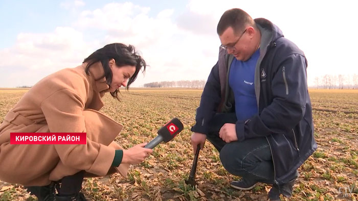 Рапса много не бывает. Как делают масло, которым заправляют салаты для Президента-1