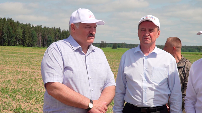 «Надо выходить на миллион». Лукашенко об увеличении урожая рапса