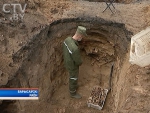 В Борисове обнаружено массовое захоронение времен Великой Отечественной войны