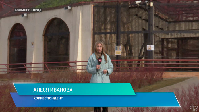 Что изменилось за 85 лет? Рассказываем историю Советского, Октябрьского и Заводского районов-10