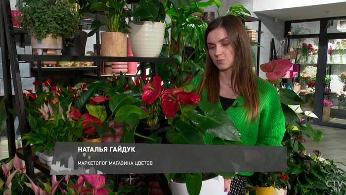 Есть даже растение-хищник. Рассказываем о цветах, которые минчане любят заводить дома-1