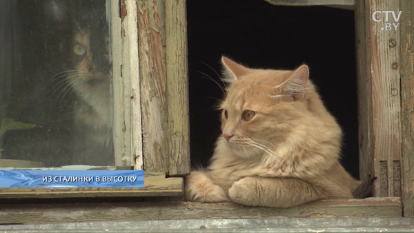 «Предусмотрено строительство жилых домов от 9 до 15 этажей»: что снесут и что оставят в районе велозавода-10