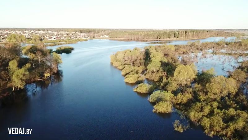 Светлогорск и весенний разлив Березины. Видео прислал Виктор Волович