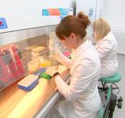 Специалисты подготовят программу, которая расширит знания об устойчивости микроорганизмов к лекарственным препаратам Специалисты подготовят программу, которая расширит знания об устойчивости микроорганизмов к лекарственным препаратам