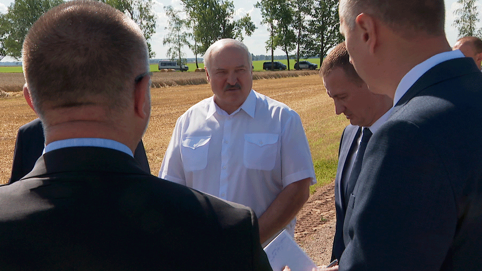 Лукашенко про поля: «Свои надо доводить хотя бы до 50 центнеров с гектара. Тогда сельское хозяйство будет развиваться»