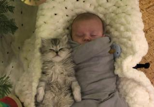 Начало нежной дружбы. Показываем снимок 3-дневного ребёнка и котёнка 