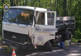 В Речицком районе при столкновении с грузовиком погиб водитель легковушки 