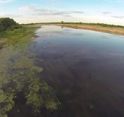 Вода в реке Горынь в Столинском районе приближается к опасному уровню