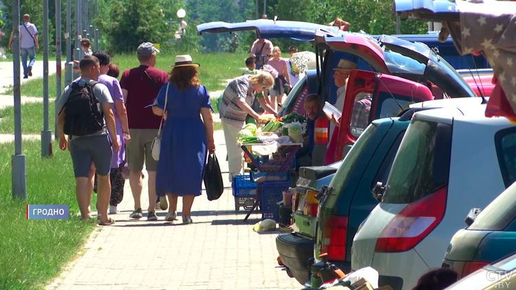 Торговля с бордюра – чем опасна покупка продуктов на обочинах дорог?-13