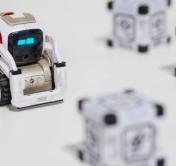 Роботы танцуют и шутят. В Минске открылась выставка «Робополис»
