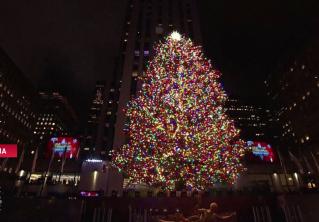 Верхушка с кристаллами Swarovski и 50 тысяч лампочек. В Нью-Йорке зажглись огни на главной рождественской ёлке