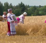 Ярмарка и вечерний концерт. Что ещё в программе «Купалья» в Александрии?