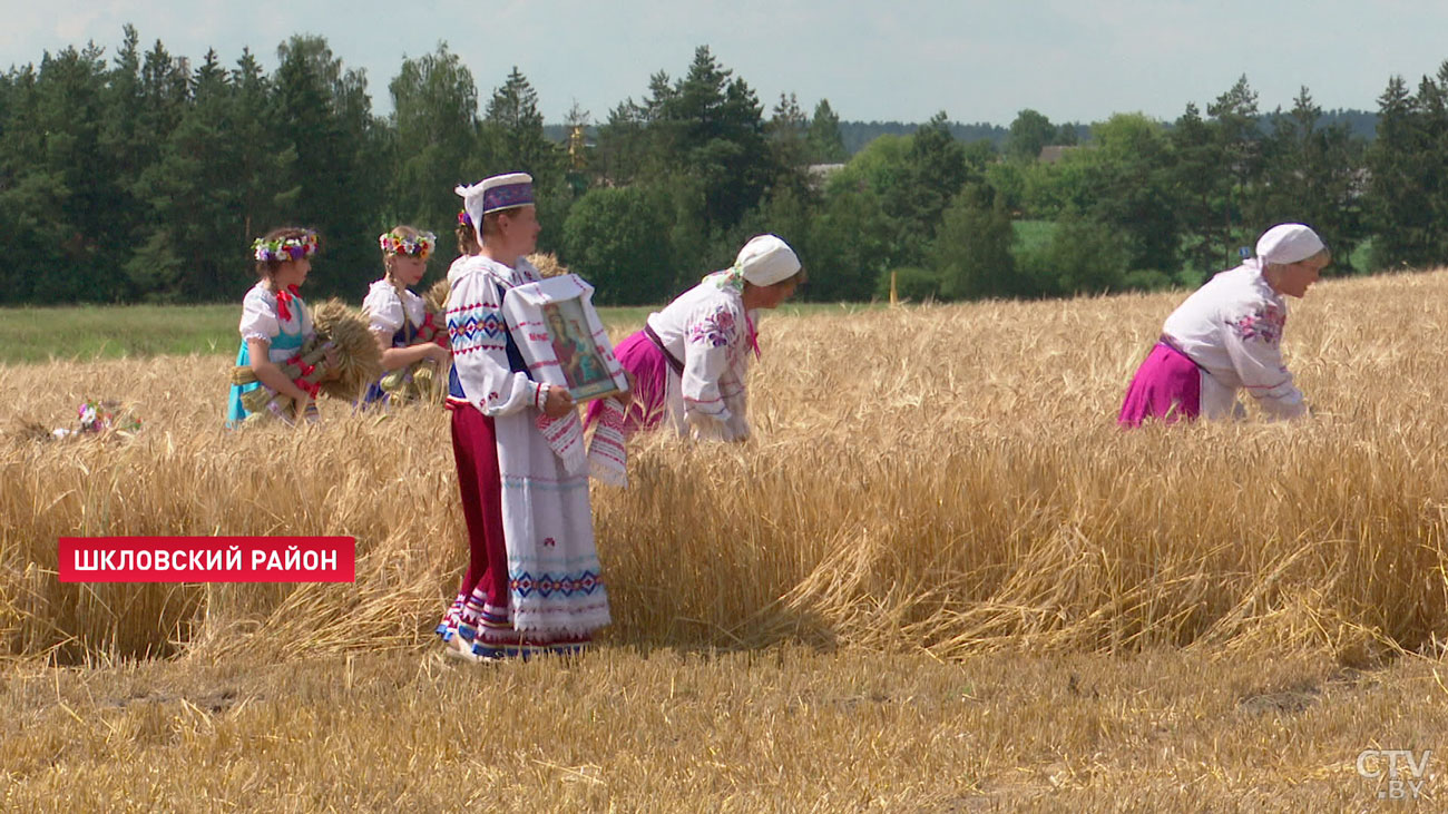 Ярмарка и вечерний концерт. Что ещё в программе «Купалья» в Александрии?-1