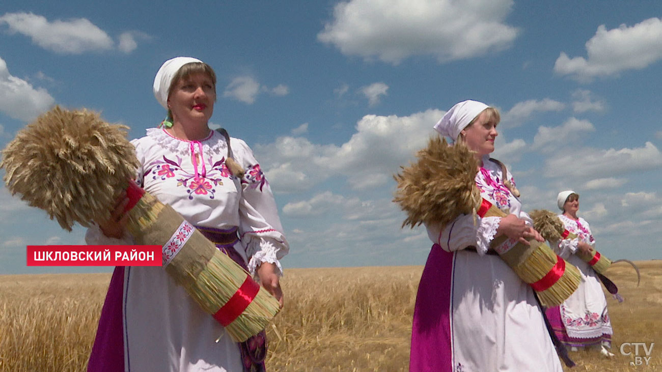 Ярмарка и вечерний концерт. Что ещё в программе «Купалья» в Александрии?-7