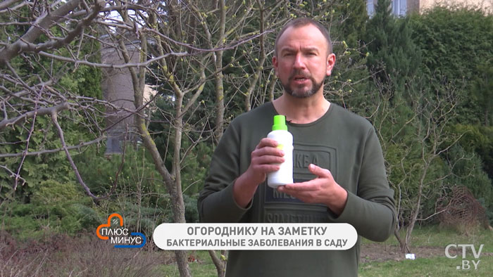 Как вырастить лимон и авокадо на подоконнике? Советует Иван Русских