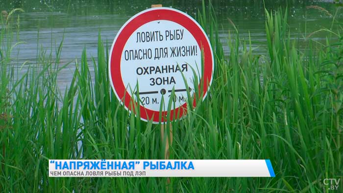 «Уже три несчастных случая». Чем опасна ловля рыбы под ЛЭП?-25