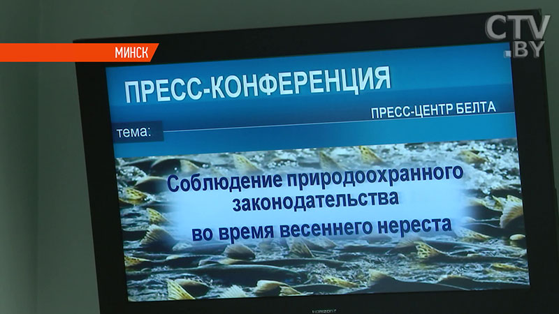 Пресечь нелегальную продажу сетей. В Беларуси снизились случаи незаконной рыбалки во время нереста-1