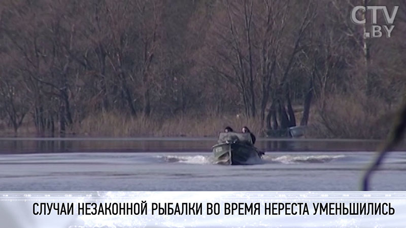 Пресечь нелегальную продажу сетей. В Беларуси снизились случаи незаконной рыбалки во время нереста-7